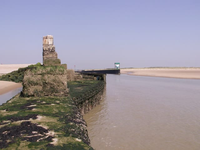 Rye Harbour Nature Reserve – Coastal Tranquility & Wildlife